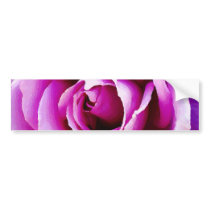 Love at Heart_ Bumper Stickers