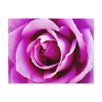 Love at Heart_ Post Cards