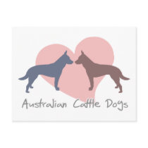 Love Australian Cattle Dogs