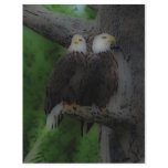 'Love Birds' flyers