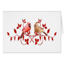 Love Birds Greeting Card