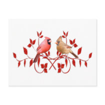Love Birds Post Card