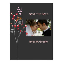 love birds/Save the Date Photo/DIY colour!! Post Card
