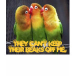 love birds, They can't keep their beaks off me. t-shirts