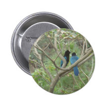 Love BIrdy Style, Tropical Black-Blue Jay Pins