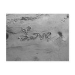 Love Black & White Postcard