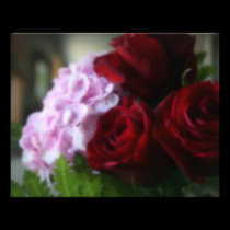 Love Blooms photography