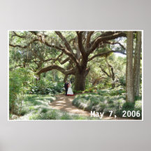 Love born under the spreading oak poster