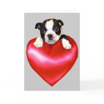 Love Boston Terrier greeting card