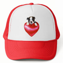 Love Boston Terrier hat