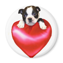 Love Boston Terrier magnet