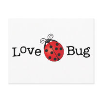 Love Bug - Ladybug