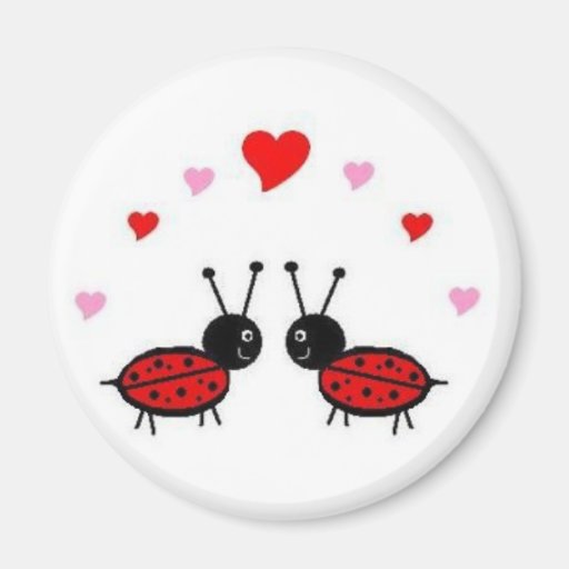 Love Bug Magnets