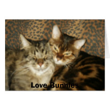 Love Bunnies Cards