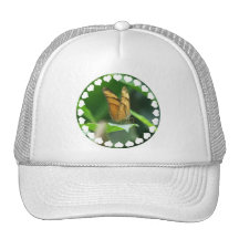 Love Butterflies Baseball Hat