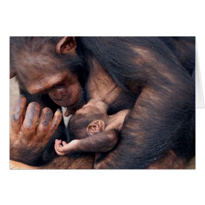Love Card by ApeArt