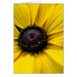 Love Card