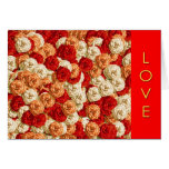 LOVE cards