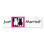 Love Cats bumper stickers