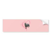 Love Cute Pony Bumper Stickers
