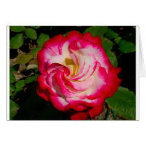 LOVE FLOWER GREETING CARDS