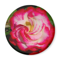 LOVE FLOWER FRIDGE MAGNETS