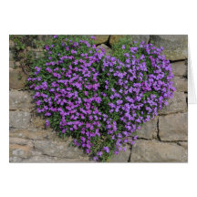 Love Flowers: Yorkshire 'Wall-Flowers' Card