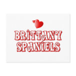 Love for Brittany Spaniels postcards