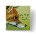 "Love foxes but please don't feed them" button