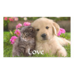 Love Golden Retriever Puppy  and Kitten  Stickers