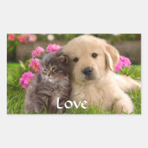 Love Golden Retriever Puppy  and Kitten  Stickers