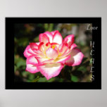 Love HEALS print art gifts Pink Rose Flowers Flora