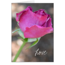 Love II Greeting Card