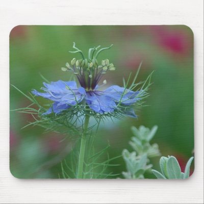 Love in a Mist 2 Mousemats by littlewingdesign