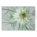Love in a mist cards