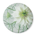 Love in a mist magnets