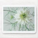 Love in a mist mousepads