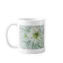 Love in a mist mugs