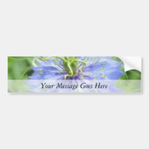 Love In A Mist - Nigella Damascena Bumper Sticker