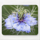 Love in the Mist flower Mousepad