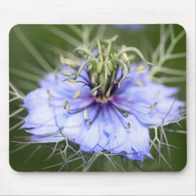 Love in the Mist flower Mousepad by mrInfrared