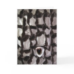 Love is a Box of Chocolates Card