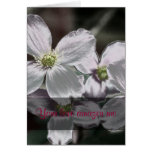 Love is a mysterious force Proverbs 30:18-19 Greeting Card