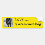 Love Is A Rescued Dog Bumper Stickers