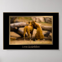 Love is Golden Posters