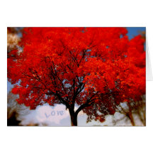 Love is in the air... cards