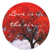 Love is in the air...