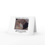 Love Is Like Petrified Wood ...Preserved Over Time cards