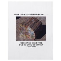 Love Is Like Petrified Wood ...Preserved Over Time