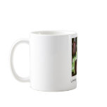 Love is Rare and Divine mugs